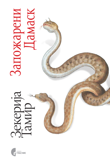 ЗАПОЖАРЕНИ ДАМАСК